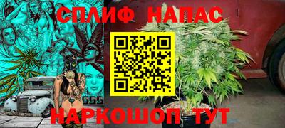 Альфа ПВП Ливны