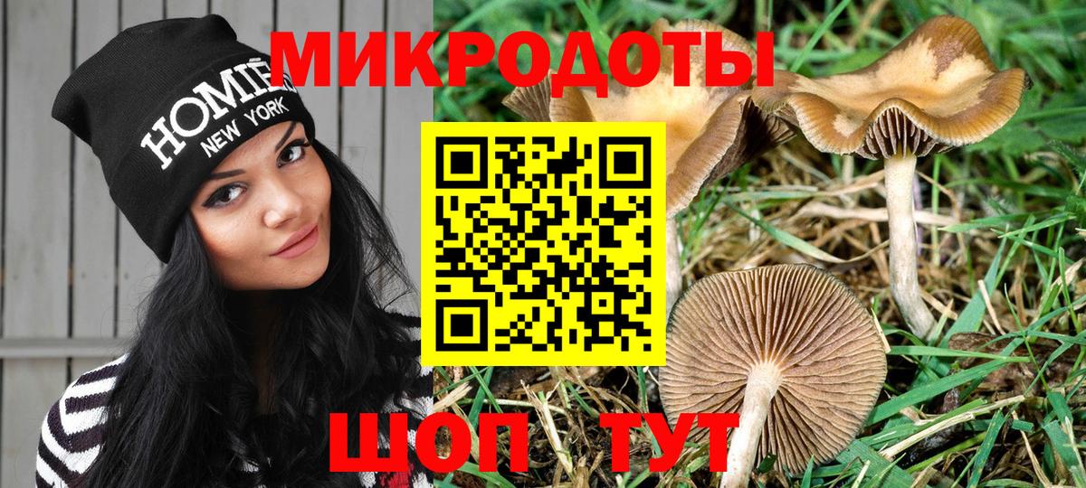 Галлюциногенные грибы мицелий  Псилоцибиновые грибы Psilocybe  Фролово  Вход с VPN 