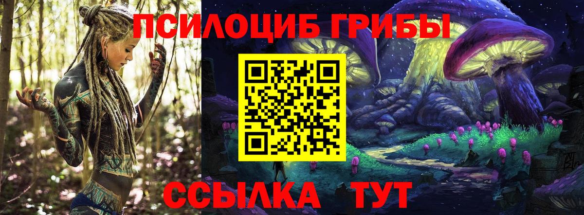 Псилоцибиновые грибы мицелий Фролово